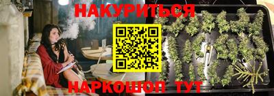 СК Краснодар