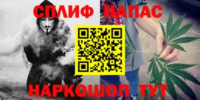 гидра Краснознаменск