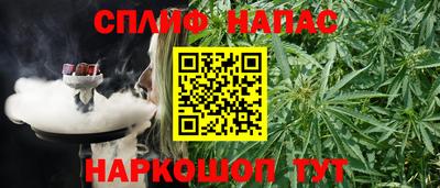 СК Краснодар
