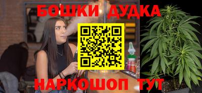 гидра Краснознаменск