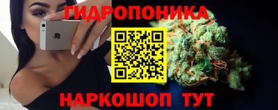 гидропоника Кунгур
