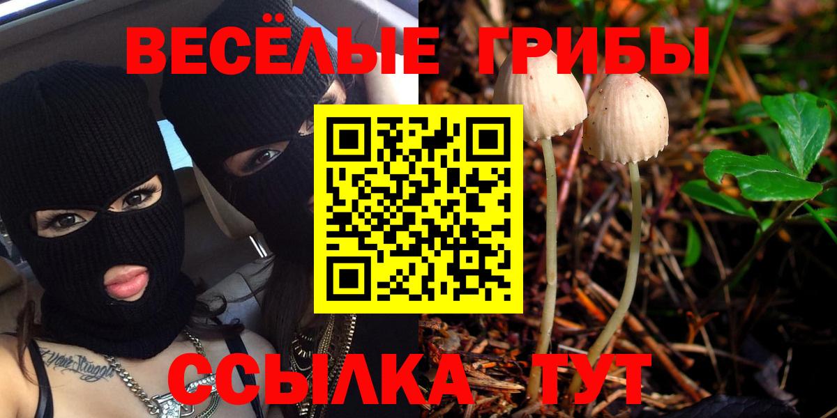 Тара  Псилоцибиновые грибы прущие грибы  Вход с VPN 