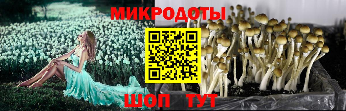 Конопля Тара