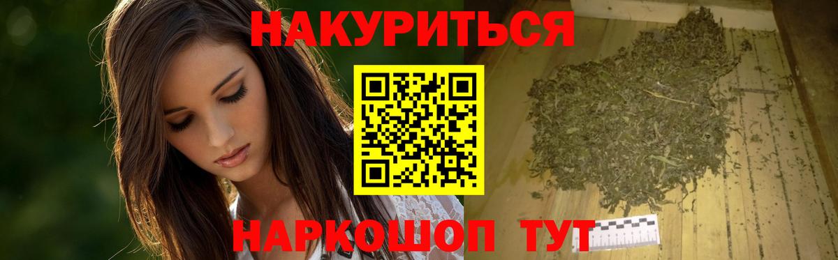 Шишки марихуана конопля Тара